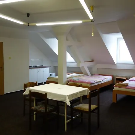 Pensionat Restaurace Alvi 3*