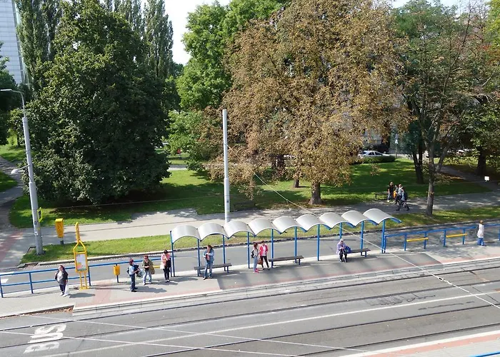 Affittacamere Restaurace Alvi