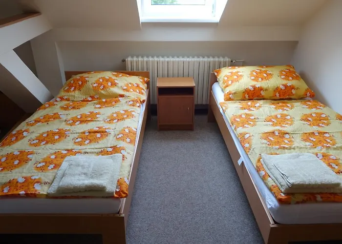 Restaurace Alvi Guest house